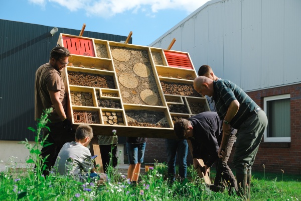Insektenhotel: Vom Bau zum Aufstellen an unserer Blühwiese